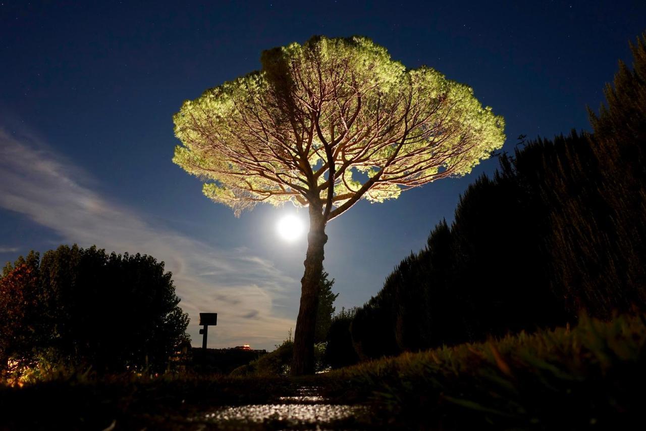Agriturismo Buon Riposo - Country Resort In The Heart Of Tuscany San Giovanni a Corazzano Экстерьер фото