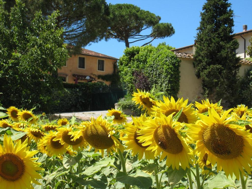 Agriturismo Buon Riposo - Country Resort In The Heart Of Tuscany San Giovanni a Corazzano Экстерьер фото